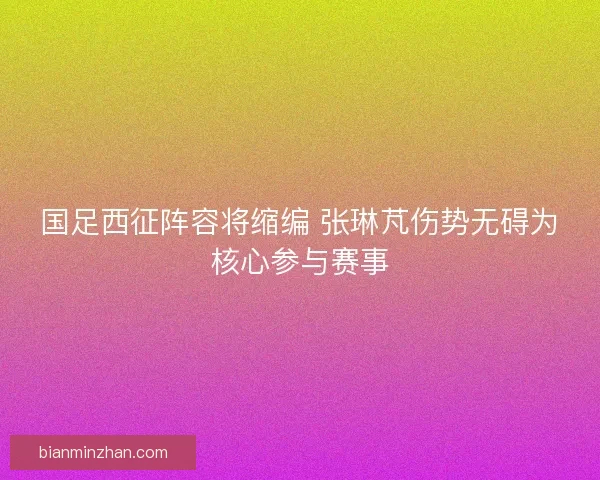 国足西征阵容将缩编 张琳芃伤势无碍为核心参与赛事
